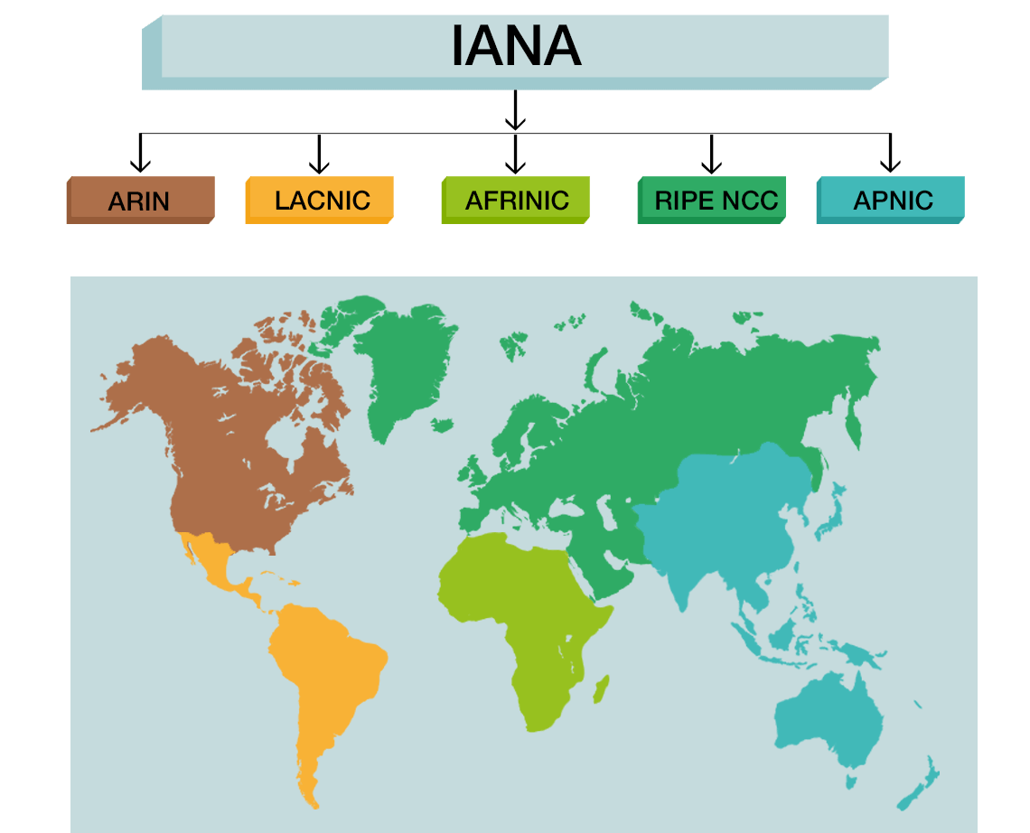 Internet assigned numbers. Internet assigned numbers Authority ( Iana ) это. Iana. Iana распределение адресов. Iana распределение IP адресов